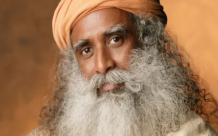 If I'm Not The Body, What Am I