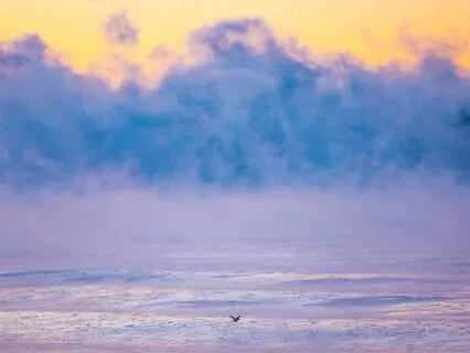 If It Came To Light: A Meditation