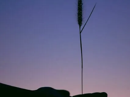 We Should Not Be Involved