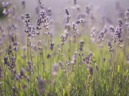 Taking Compassionate Responsibility For Our Inner Resistance