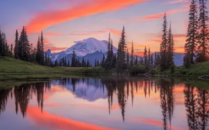 If One Is Concerned About Human Beings, War Isn't Surprising