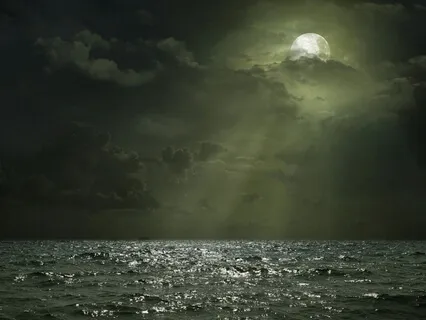 If The Sea Could Dream