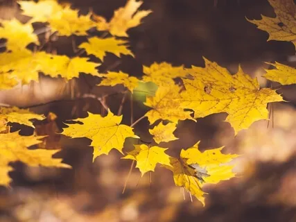 If We Lived Forever, Would We Appreciate Life As Much As We Do Now?