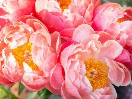 If We Love Or Are Loved Deeply, Then...