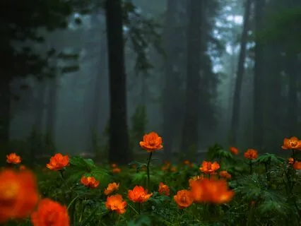 If We're In Control Of Our Lives....