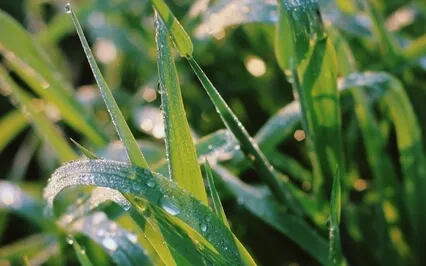 If You Are Feeling Fragmented