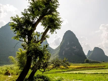 If You Are Not Ready For The Message, It Just Won't Make Sense To You 