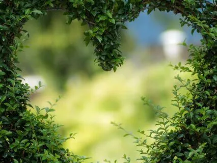 "I Am Not Good Enough"