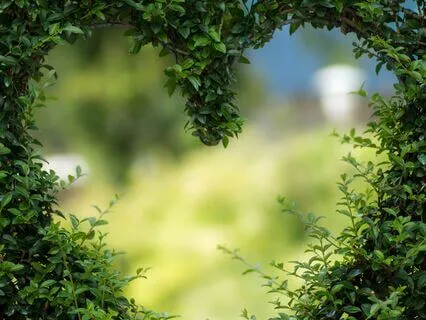 "There Is Something Wrong With Me"