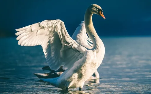 If You Forget Me - Pablo Neruda 