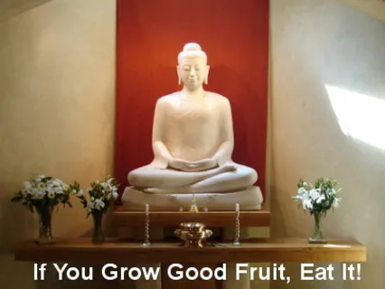 If You Grow Good Fruit, Eat it!