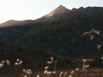 If You Have A Habit Of Saying, "Whatever"