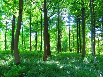 If You Think You Can, You Will!