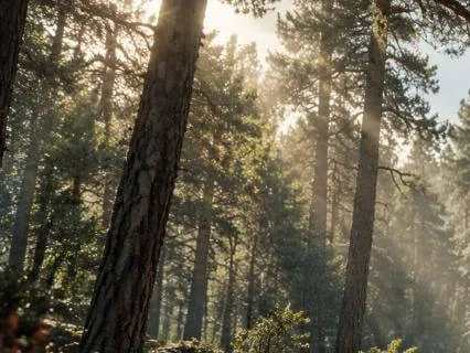 If You've Never Meditated Before, Start Here