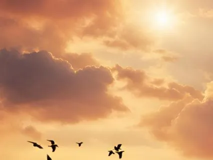 If You Wake Up Feeling Anxious | Morning Calm Meditation