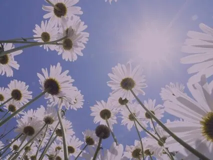 Iffirmations For Self-Love And Acceptance