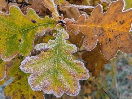 IFS Check In With A Lonely Chasm Exile Abyss Part