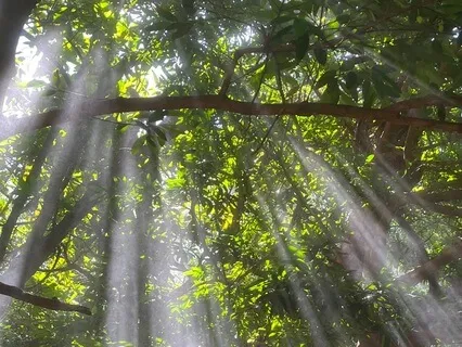 IFS: Connecting To Self Energy In Infinite Abundance