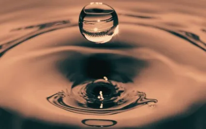 IFS Guided Body Meditation From Dick Schwartz' Book