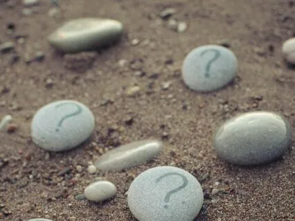 IFS Insight: 10 FAQs
