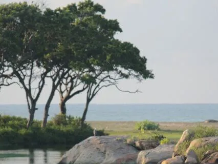 IFS Insight: Basic Concept Of Parts