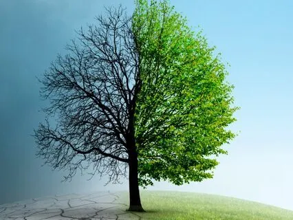 IFS INSIGHT: Better Understanding Parts In Change