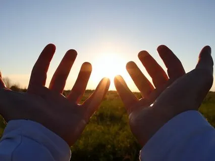 IFS INSIGHT: Exploring Common Protector Fears