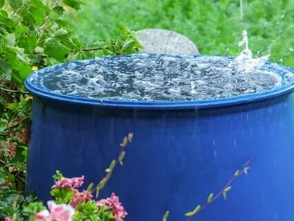 IFS Insight: Exploring The Power Of Collective Unburdening