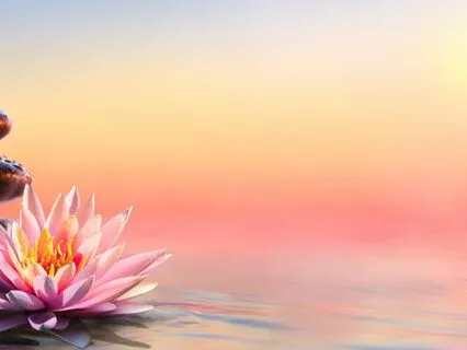 IFS Insight: Internal Family Systems & Meditation