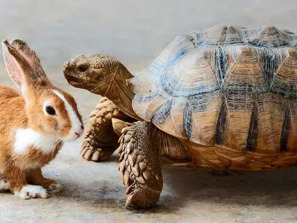 IFS INSIGHT: Self-Compassion And Understanding Inner Critics