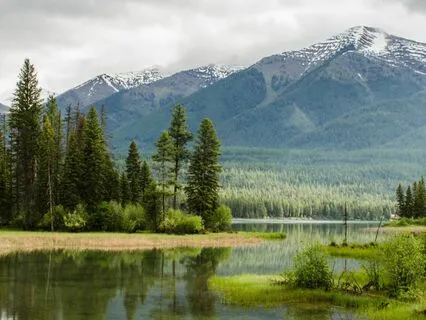 IFS Insight: Some Basic Assumptions Of The IFS Model