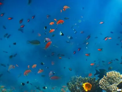 IFS Insight: Sparking Global Transformation