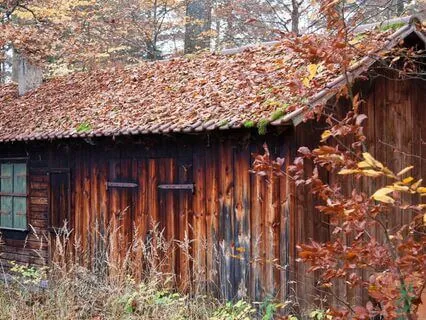 IFS Insight: The Guest House By Rumi And IFS Partswork