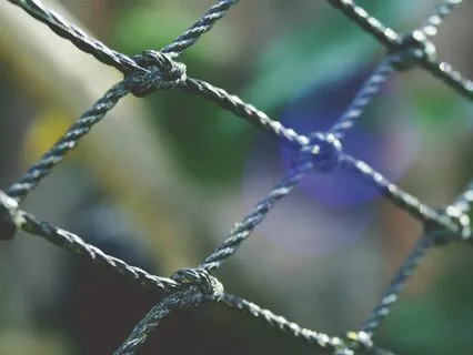 IFS Insight: Understanding The Roles Of Protectors Better