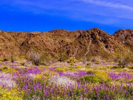 IFS Meditation: A General Parts Meditation