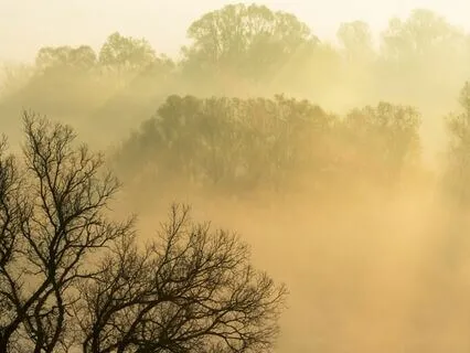 IFS Meditation: A Spiritual Connection Inquiry