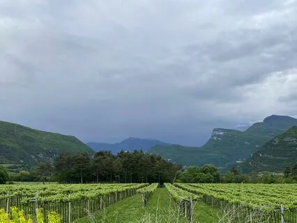 IFS Meditation: Connecting With Numb Or Dissociative Parts