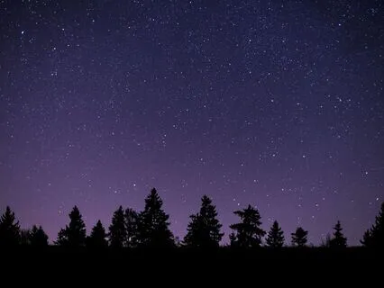 IFS Meditation: For A Busy Brain That Can’t Sleep