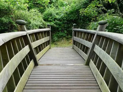 IFS Meditation: Parts Around Beginnings And Endings