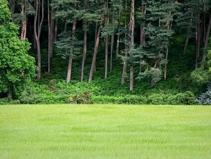 IFS Meditation: Safe Place Meditation