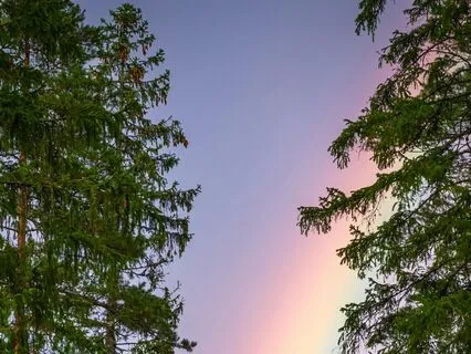 IFS Meditation: Supporting You When The World Feels Heavy