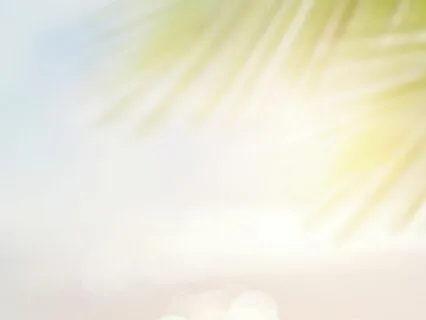 IFS Meditation: To Check Internally With Some IFS Principles