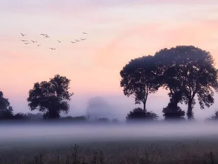 IFS Morning Connection With Parts