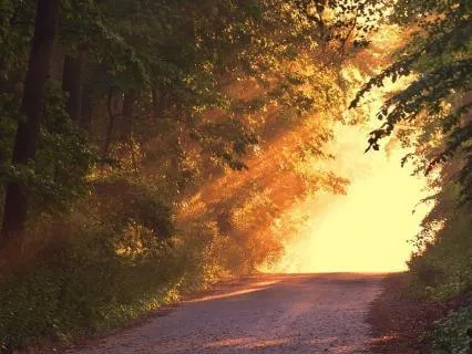 IFS The Path:  Gentle Unblending From Parts With EMDR Music