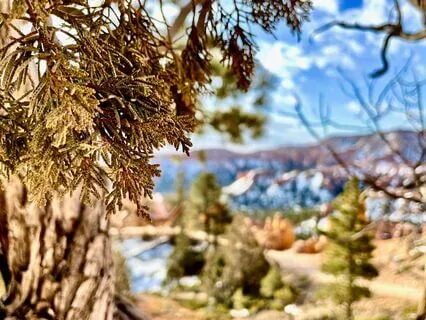 IFS Therapeutic Scripture Meditation To Unburden: Psalm 54