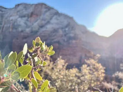 IFS Therapeutic Scripture Meditation To Unburden: Psalm 67