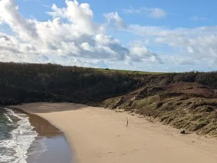 IFS To Calm Neurodivergent Burnt Out Parts