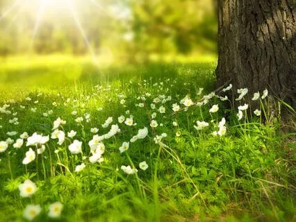 IFS Unburdening Meditation – A Gentle Light For Exiled Parts