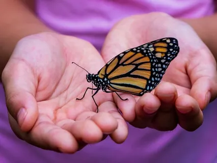 IFS Yoga Nidra For Child Parts