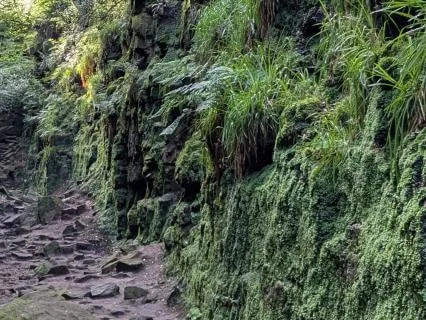 IFS Younger Fear Part Befriending, Validating